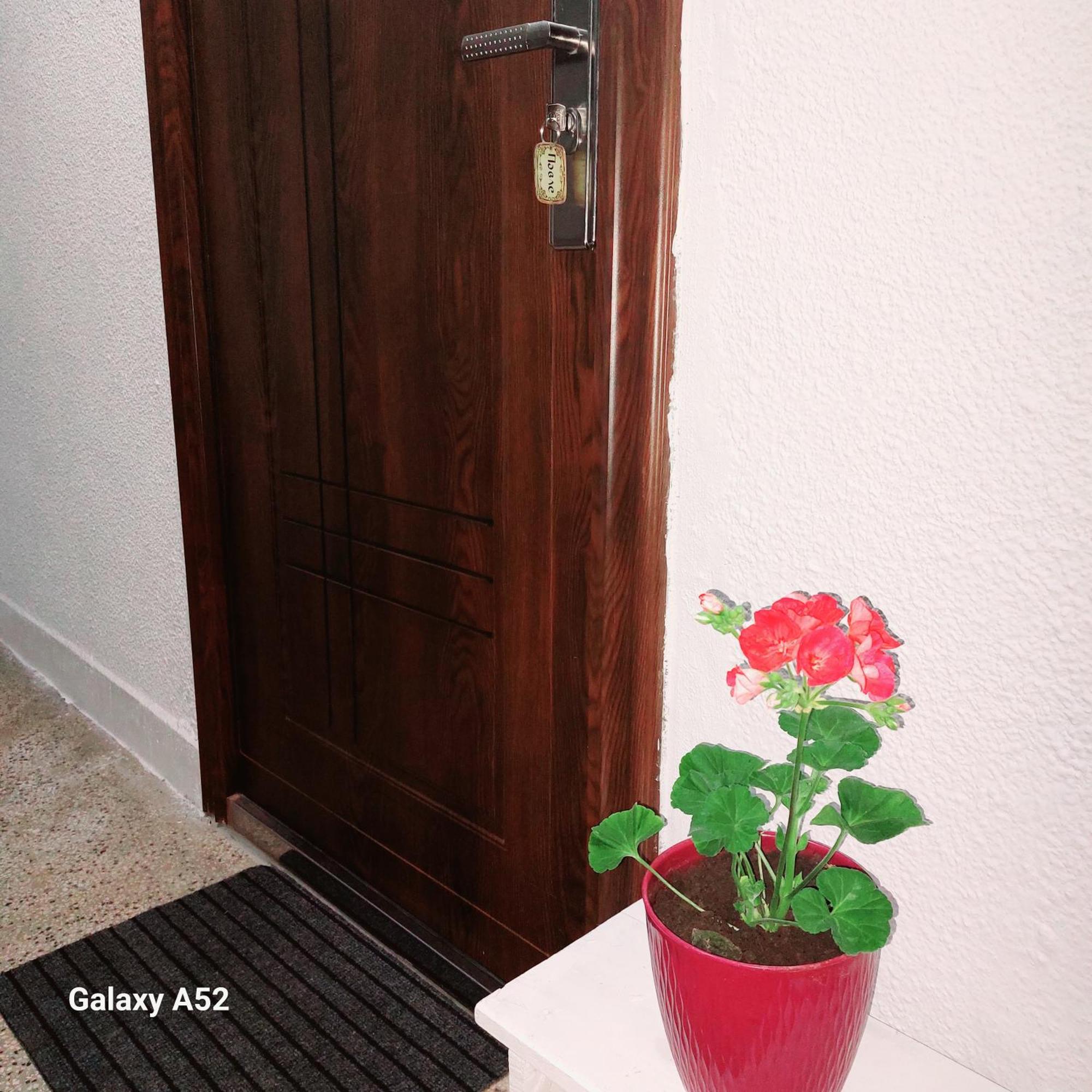 Appartement Pavle Plužine